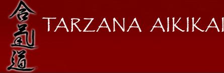 Tarzana Aikikai Spring Camp