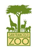 San Francisco Zoo Camp