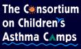 AAFA Asthma Camp - Camp Nomowheezin